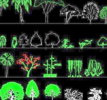 园林立面植物图例CAD