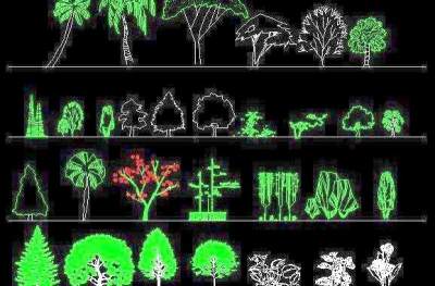 园林立面植物图例CAD