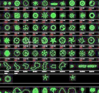 CAD植物平立面图标库