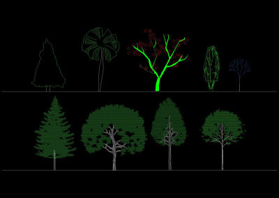 园林景观植物cad立面图库3D模型