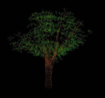 大树cad设计模型