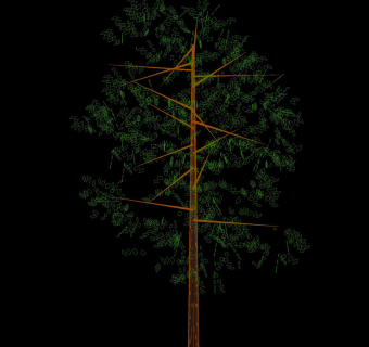 树cad模型图纸素材