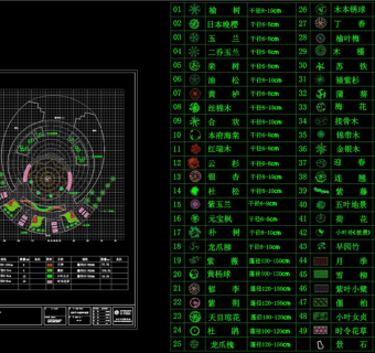 观景平台种CAD景观图纸