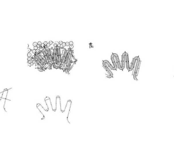 CAD深圳人民公园封面图纸