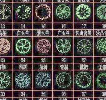 景观公司cad设计图库