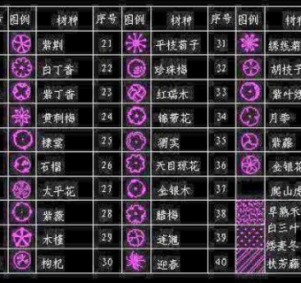 常用景观植物02CAD图块大全