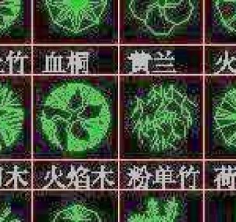 CAD景观制图常用植物图例素材