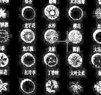 CAD植物素材图块图库