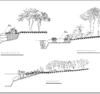 生物绿化CAD图纸