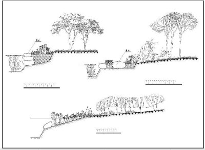 生物绿化CAD图纸