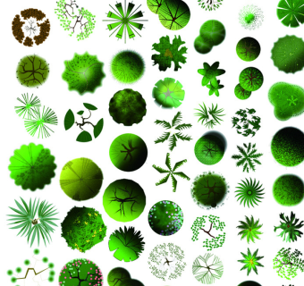 CAD灌木图块图片