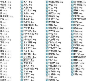 CAD园林植物最新图库