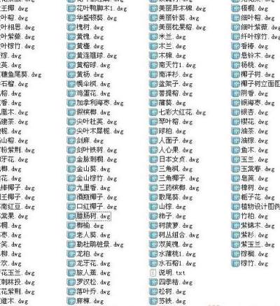 CAD园林植物最新图库