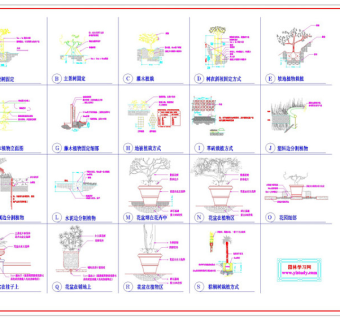 种植施工详图CAD景观图纸