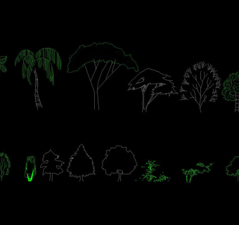 景观植物cad立面图库