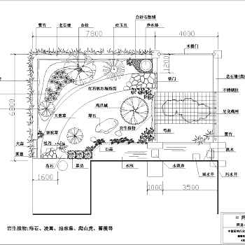 别墅小庭院景观设计图