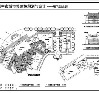 全套住宅小区规划绿化单体楼cad施工图