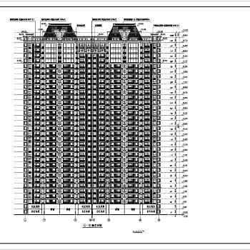 31层欧式高层住宅楼cad施工图