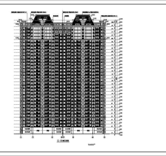 31层欧式高层住宅楼cad施工图