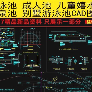 原创一套漂亮的别墅庭院游泳池细节施工CAD图纸3D模型