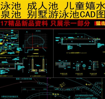 原创一套漂亮的别墅庭院游泳池细节施工CAD图纸3D模型