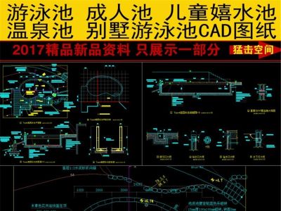 原创一套漂亮的别墅庭院游泳池细节施工CAD图纸3D模型