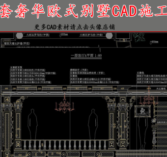 原创全套欧式精品别墅CAD施工图-版权可商用3D模型