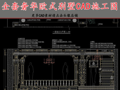 原创全套欧式精品别墅CAD施工图-版权可商用3D模型