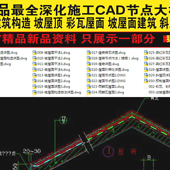 原创精品深化坡屋面建筑构造CAD图集3D模型