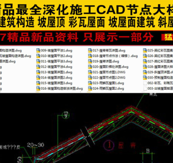 原创精品深化坡屋面建筑构造CAD图集3D模型