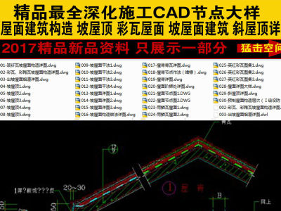 原创精品深化坡屋面建筑构造CAD图集3D模型