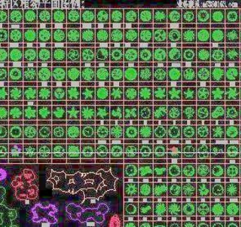 中国园林各类植物平面图库3D模型