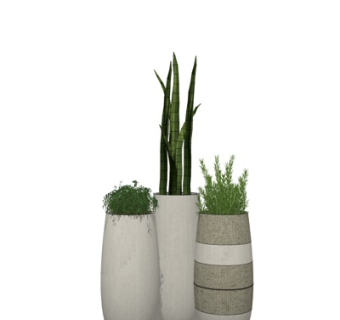 现代绿植花瓶su模型