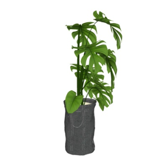 现代花瓶花卉su模型