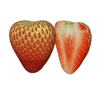 现代草莓su模型