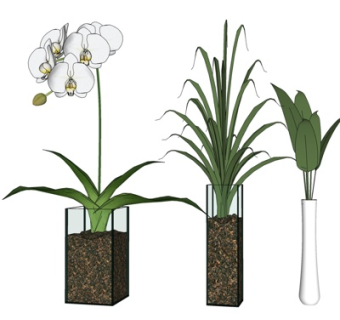 现代花瓶花卉su模型