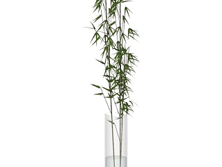 现代竹子花瓶su模型