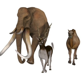 现代大象骆驼山羊su模型
