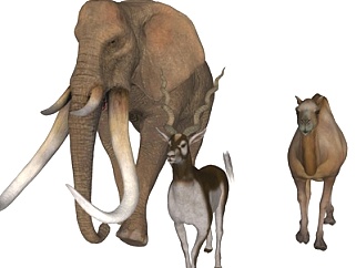 现代大象骆驼山羊su模型