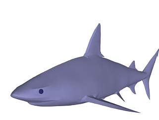 现代鲨鱼模型su模型