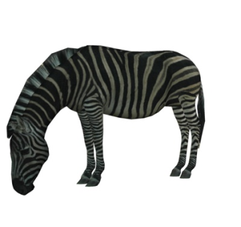 现代斑马su模型