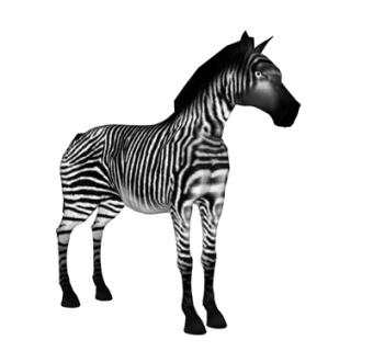 现代斑马su模型