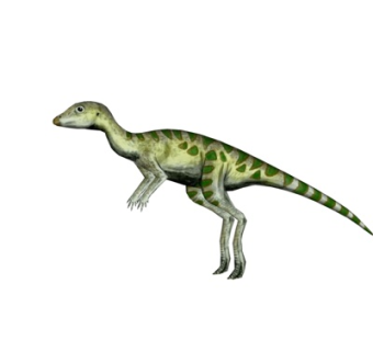 现代恐龙模型摆件su模型