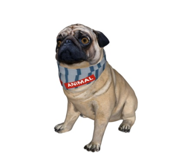 现代哈巴狗su模型