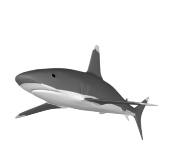 现代鲨鱼su模型