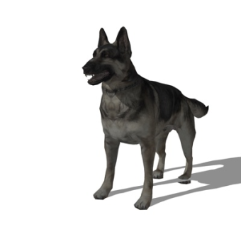 现代狼狗su模型