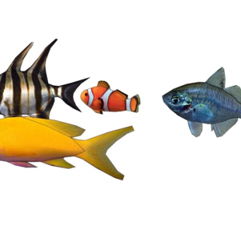 现代热带鱼su模型