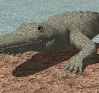 现代鳄鱼su模型