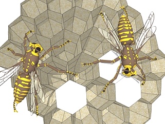 现代<em>蜂巢</em>蜜蜂su模型