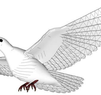 现代鸽子su模型